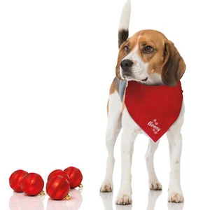 Hundehalstuch Dreieckstuch bestickt mit Schneeflocken und dem Namen vom Hund - Bild 1 von 7