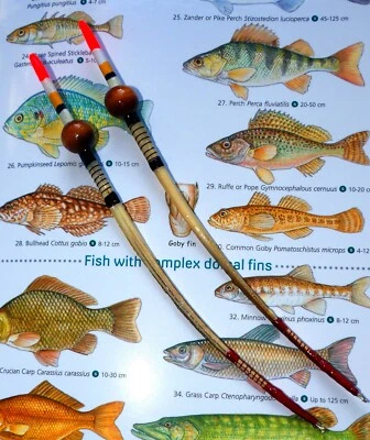 DUE GALLEGGIANTI DA PESCA INGLESI ARTIGIANALI 'CAFFÈ E SENAPE' - Immagine 1 di 4