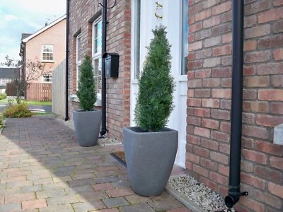 Pair of Best Artificial 3ft/90cm Potted Cedar Conifer Topiary Trees UV Stable