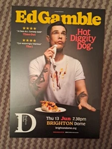 Ed Gamble "Hot Diggity Dog." A5 Flyer Brighton Dome 13 de junio de 2024 - Imagen 1 de 1