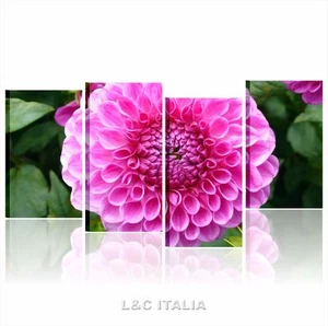 Dahlia 5 QUADRO MODERNO 152x78 cm QUADRI STAMPE TELA ARREDAMENTO FIORI CASA - Foto 1 di 1