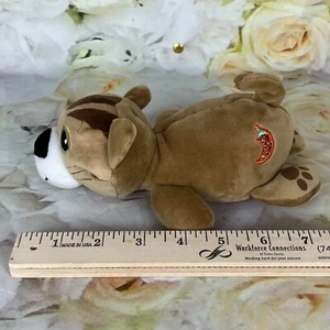 Cutetitos Tabby Cat Collectible Plush Stuffed Animal Brown Jalapeño Hot Pepper - Picture 1 of 9