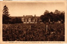 CPA VOUVRAY-les-Vins - La Vendange des Clos reputes in the whole world (253510)