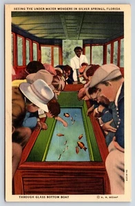 Sehen der Unterwasserwunder in Silberquellen, FL Glasboden Bootspostkarte - Bild 1 von 2