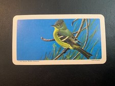 BROOKE BOND RED ROSE TEA CARDS - SERIES 9 - CANADIAN/AMERICAN SONGBIRDS