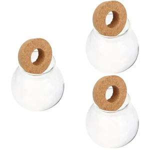  3 Stück Niedliche Hydrokultur Pflanzgefäße Schreibtisch Vermehrung Pflanzgefäße Glas - Bild 1 von 12