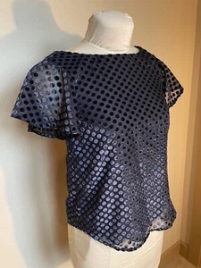 Ann Taylor Loft Damen Petites Shirt transparent, Flügelärmel Samt Bluse XS - Bild 1 von 5