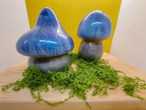 Epoxy Resin Mushroom Duo - Picture 1 of 2