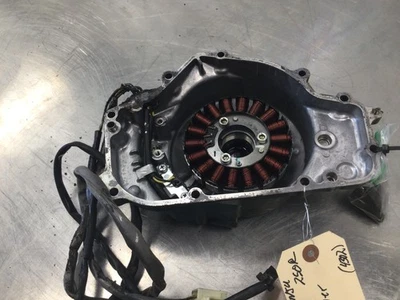 Kawasaki Ninja 250R EX250J 2011 alternador magnético estator pintado con spray izquierdo Foto 1 de 4