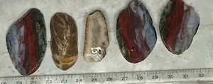 lot of Scott's Bay Nova Scotia Mineral Crystals Agate 6 slices unpolished - Picture 1 of 9