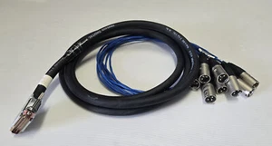 Pro Co Acculink Kabel 8 Kanal DB25 auf Neutrik XLR-Stecker Audio Schlange 10 Fuß - Bild 1 von 1