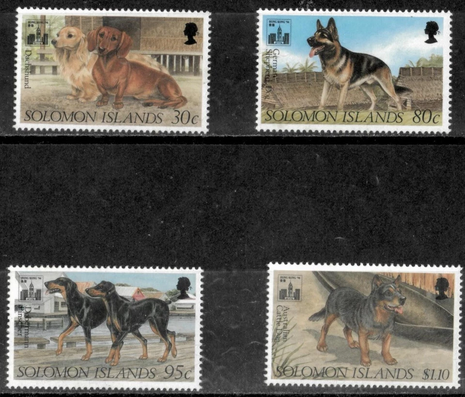 Islas Salomón 1994 - Perros - Juego de 4 estampillas - Scott #767-70 - MNH Foto 1 de 1