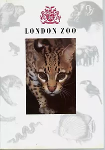 Anuario del zoológico de Londres 1989 Regent's Park Ocelote Goeldi's Marmoset en portadas - Imagen 1 de 3
