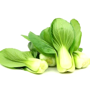 1200+ PAK CHOI SEEDS CHINESE WHITE CABBAGE BOK CHOY ASIAN VEGETABLE GARDEN USA - Picture 1 of 6