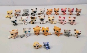 Littlest Pet Shop lotto di 26 gatti gattino gatto tabby felino Hasbro LPS - Foto 1 di 10