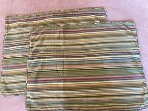 Crate and Barrel Set Riley Standard Shams Green Red Orange Striped Buttons - Picture 1 of 5