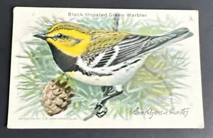 Utile braccio e martello Birds of America nero gola verde Warbler serie 10 #2 - Foto 1 di 2
