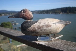 Canvasback Drake decoy by Mason Decoy Co. Detroit, MI. 1888-1924, repaint. - Picture 1 of 11