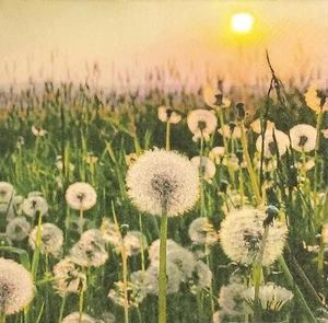 P836# 3 servilletas de papel individuales para decoupage puesta de sol temprana en prado de diente de león - Imagen 1 de 9