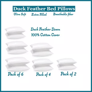 Duck Feather & Down Pillows Extra Filled Hotel Quality 100% Cotton Pack of 2,4,6 - Picture 1 of 5