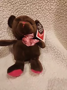 Dan Dee Teddybär Plüsch braun Schokolade duftend rosa Schleife 8 Zoll Stofftier - Bild 1 von 5