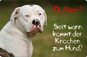 American BULLDOG - A4 Alu Warnschild Türschild SCHILD Hundeschild - AMB 02 T9 - Bild 1 von 2