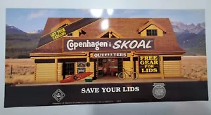 Vintage 1996 Copenhagen's Skoal Posterboard Display - Imagen 1 de 9