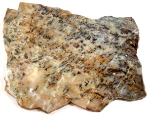 Recent Estate Lovely Large Dendritic Agate Free Shipping 1st Picture Wet #3381 - Picture 1 of 5