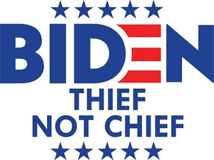 Biden Thief Not Chief Anti Biden gestanzter Aufkleber 6" x 4,5" - Bild 1 von 1