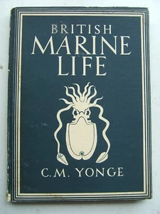 VINTAGE 1944 BOOK BRITISH MARINE LIFE by C M YONGE lovely illustrations - Picture 1 of 2