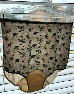 Vtg 1950s Van Raalte Nylon Panties Granny Panty Womens Size 4 Lace Floral Brief - Picture 1 of 12