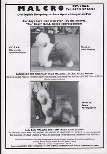 ALTE ENGLISCHE SCHSCHÄFERHUNDRASSE ZWINGER WERBE DRUCKSEITE ""MALCRO"" HUNDEWELT 1980ERer - Bild 1 von 1