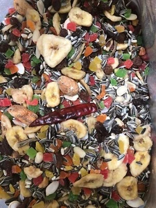 Foraging Mix Macaw & African Grey Large Parrots Bird Food Mix 2kg - Picture 1 of 1