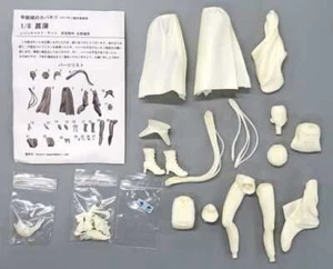 Ayame Yomogawa Kabaneri of the Iron Fortress 1/8 Resin Cast Kit Wond... Figure - Picture 1 of 1
