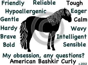 American Bashkir Curly Horse Obsession, Any Questions? T-shirt - Picture 1 of 4