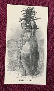 Antique 1902 Engraved Image of South Africa African Tribe Zulu Warrior Chief - Picture 1 of 2