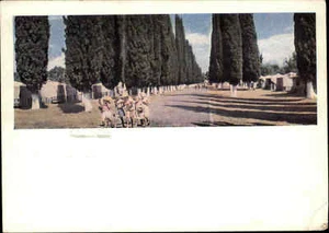 1968 Suchumi Grusinien alte AK mit eingedruckter Briefmarke Ganzsachen-Postkarte - Bild 1 von 2