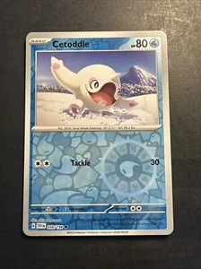 2024 Pokémon Scarlet Violet Reverse Holo Foil Cetoddle 58 /198 Holographic - Picture 1 of 2