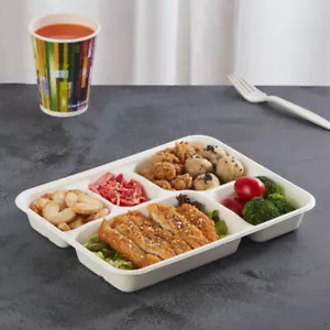 100% Compostable Biodegradable Bagasse Paper Plate Birthday Party 5 Compartment - Picture 1 of 7