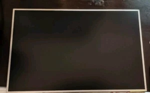LCD Display LP171WP4 (TL)(B5) TL B5 Matt + LCD Inverter 08G23FJ1010Q - Bild 1 von 7