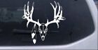 Big Buck Skull With Feathers Car or Truck Window Laptop Decal Sticker 6X5.8