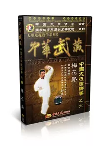 Chinese Traditional Taiji Mantis Boxing Series No.6 - Mei Hua Lu - Sun De 2DVDs - Imagen 1 de 1
