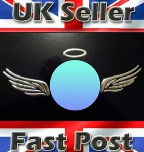 3D Angel Wings Halo Calcomanía Pegatina Insignia Plata Cromo Peugeot 106 107 206 207 - Imagen 1 de 1