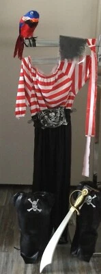 Vestido de doncella pirata con espada, cinturón, loro, cubrebotas y pelo/sombrero pluma Foto 1 de 4
