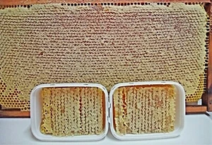 Raw Honeycomb Honey 200g (7 oz) – Pure Wildflower Forest Honey, 2025 Harvest - Picture 1 of 12