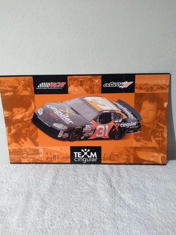 ROBBY GORDON TEAM CINGULAR #31 NASCAR WINSTON CUP POSTCARD 2003 Cover