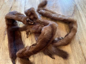 Vintage Reddish Brown Mink Fur Wrap Stole-with 4 Full Body Pelts - Picture 1 of 9