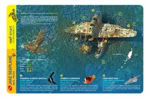 Jake Seaplane Wreck Palau Reef Smart Waterproof Dive Card - Picture 1 of 2
