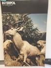 Interpol Our Love To Admire 11x17 Promo Poster Double Sided Matte READ