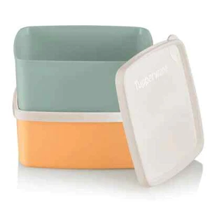 NEW tupperware Square round small container set of 2  w/ white seals  FReeShip - Picture 1 of 1